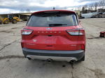 2021 Ford Escape Titanium Красный vin: 1FMCU9J93MUA19087