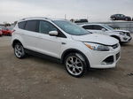 2014 Ford Escape Titanium Белый vin: 1FMCU9J94EUB44035