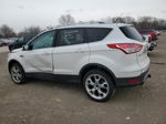 2014 Ford Escape Titanium White vin: 1FMCU9J94EUB44035