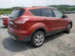 2014 Ford Escape Titanium Orange vin: 1FMCU9J94EUE45369