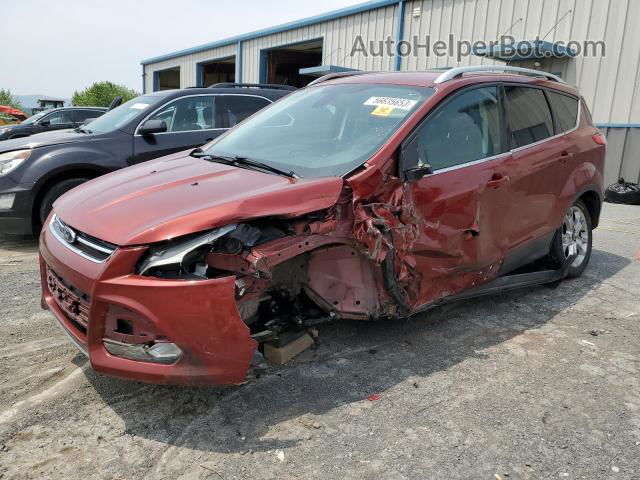 2014 Ford Escape Titanium Orange vin: 1FMCU9J94EUE45369