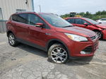 2014 Ford Escape Titanium Orange vin: 1FMCU9J94EUE45369