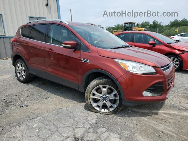 2014 Ford Escape Titanium Оранжевый vin: 1FMCU9J94EUE45369