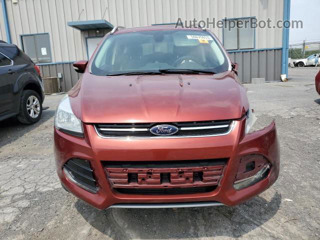 2014 Ford Escape Titanium Оранжевый vin: 1FMCU9J94EUE45369