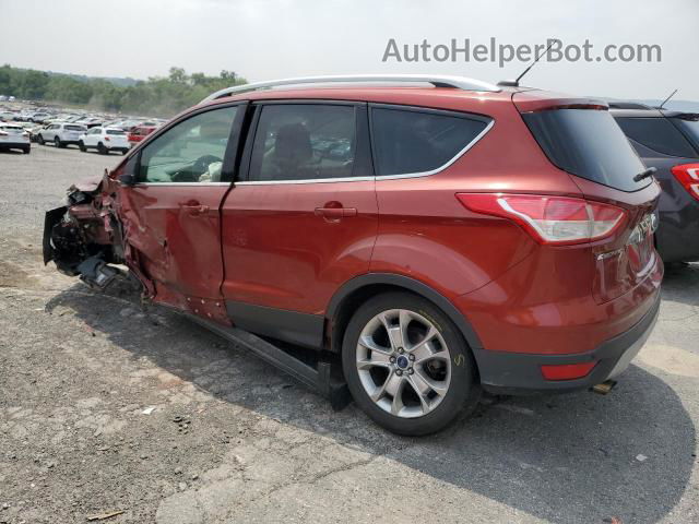 2014 Ford Escape Titanium Orange vin: 1FMCU9J94EUE45369