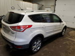 2015 Ford Escape Titanium White vin: 1FMCU9J94FUA19683