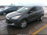 2015 Ford Escape Titanium Gray vin: 1FMCU9J94FUA20123