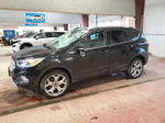 2019 Ford Escape Titanium Black vin: 1FMCU9J94KUC09560