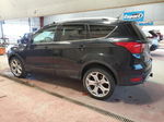 2019 Ford Escape Titanium Black vin: 1FMCU9J94KUC09560