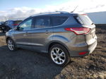 2013 Ford Escape Titanium Gray vin: 1FMCU9J95DUC30341