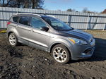 2013 Ford Escape Titanium Gray vin: 1FMCU9J95DUC30341