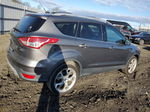 2013 Ford Escape Titanium Gray vin: 1FMCU9J95DUC30341