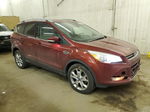 2014 Ford Escape Titanium Burgundy vin: 1FMCU9J95EUB46828