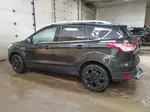 2014 Ford Escape Titanium Black vin: 1FMCU9J95EUD84310