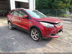 2014 Ford Escape Titanium Red vin: 1FMCU9J96EUB75013