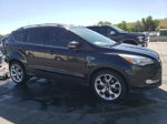 2014 Ford Escape Titanium Black vin: 1FMCU9J96EUC97256