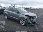 2013 Ford Escape Titanium Gray vin: 1FMCU9J97DUA26737