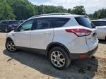 2014 Ford Escape Titanium White vin: 1FMCU9J97EUA65331