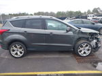 2019 Ford Escape Titanium Black vin: 1FMCU9J97KUA10843