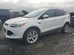 2014 Ford Escape Titanium Белый vin: 1FMCU9J98EUE53829