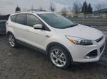 2014 Ford Escape Titanium Белый vin: 1FMCU9J98EUE53829