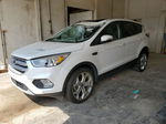 2019 Ford Escape Titanium White vin: 1FMCU9J98KUC30492