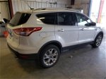 2014 Ford Escape Titanium Белый vin: 1FMCU9J99EUD32064