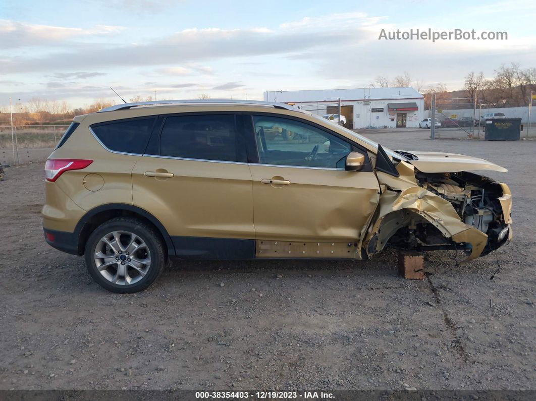 2014 Ford Escape Titanium Gold vin: 1FMCU9J99EUD37801