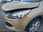 2014 Ford Escape Titanium Gold vin: 1FMCU9J99EUD37801