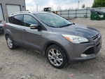 2014 Ford Escape Titanium Gray vin: 1FMCU9J99EUD63976