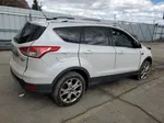 2016 Ford Escape Titanium White vin: 1FMCU9J99GUA82229