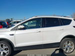 2019 Ford Escape Titanium White vin: 1FMCU9J99KUC05245