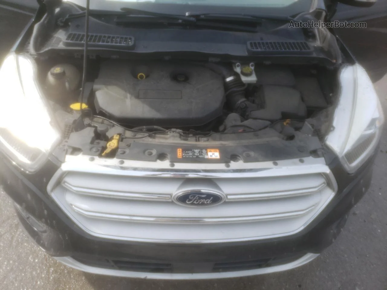 2019 Ford Escape Titanium Black vin: 1FMCU9J99KUC30596