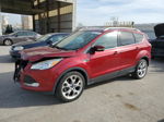 2014 Ford Escape Titanium Red vin: 1FMCU9JX2EUD72145