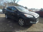 2014 Ford Escape Titanium Черный vin: 1FMCU9JX3EUE05105