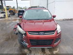 2014 Ford Escape Titanium Maroon vin: 1FMCU9JX6EUB42138