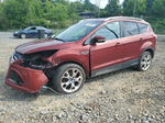 2014 Ford Escape Titanium Red vin: 1FMCU9JX6EUB42348