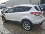 2014 Ford Escape Titanium Белый vin: 1FMCU9JX8EUA42719