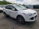 2016 Ford Escape Titanium White vin: 1FMCU9JX9GUA79684