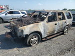 2003 Ford Expedition Xlt Burn vin: 1FMEU15W03LA36511