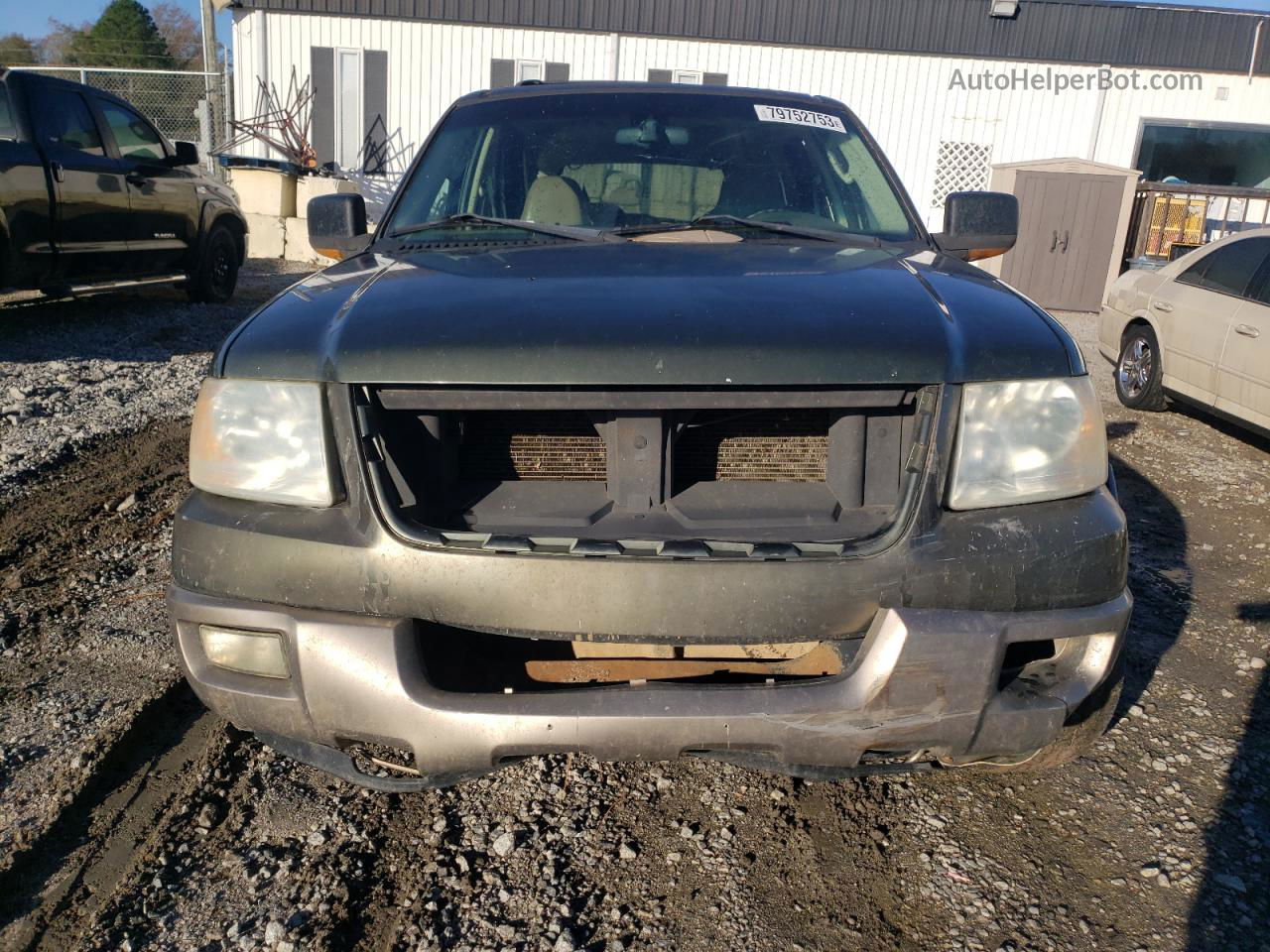 2003 Ford Expedition Eddie Bauer Зеленый vin: 1FMEU17L33LA49062