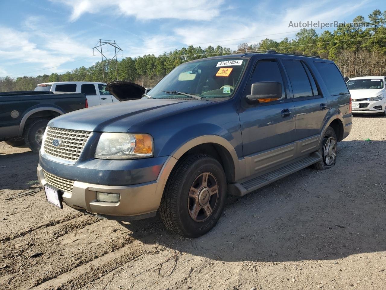 2003 Ford Expedition Eddie Bauer Blue vin: 1FMEU17W13LC16559