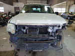 2010 Ford Explorer Xlt White vin: 1FMEU6DE4AUB02460