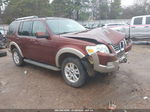 2010 Ford Explorer Eddie Bauer Коричневый vin: 1FMEU6EE2AUA05398