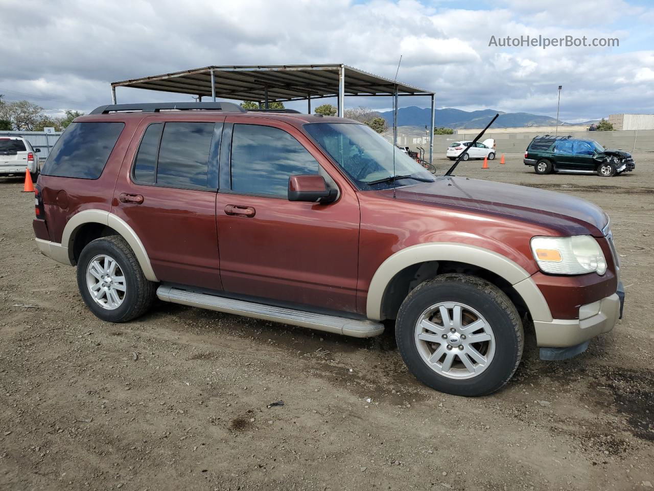 2010 Ford Explorer Eddie Bauer Коричневый vin: 1FMEU6EE2AUA99377