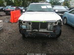 2010 Ford Explorer Eddie Bauer Белый vin: 1FMEU6EE7AUA03968