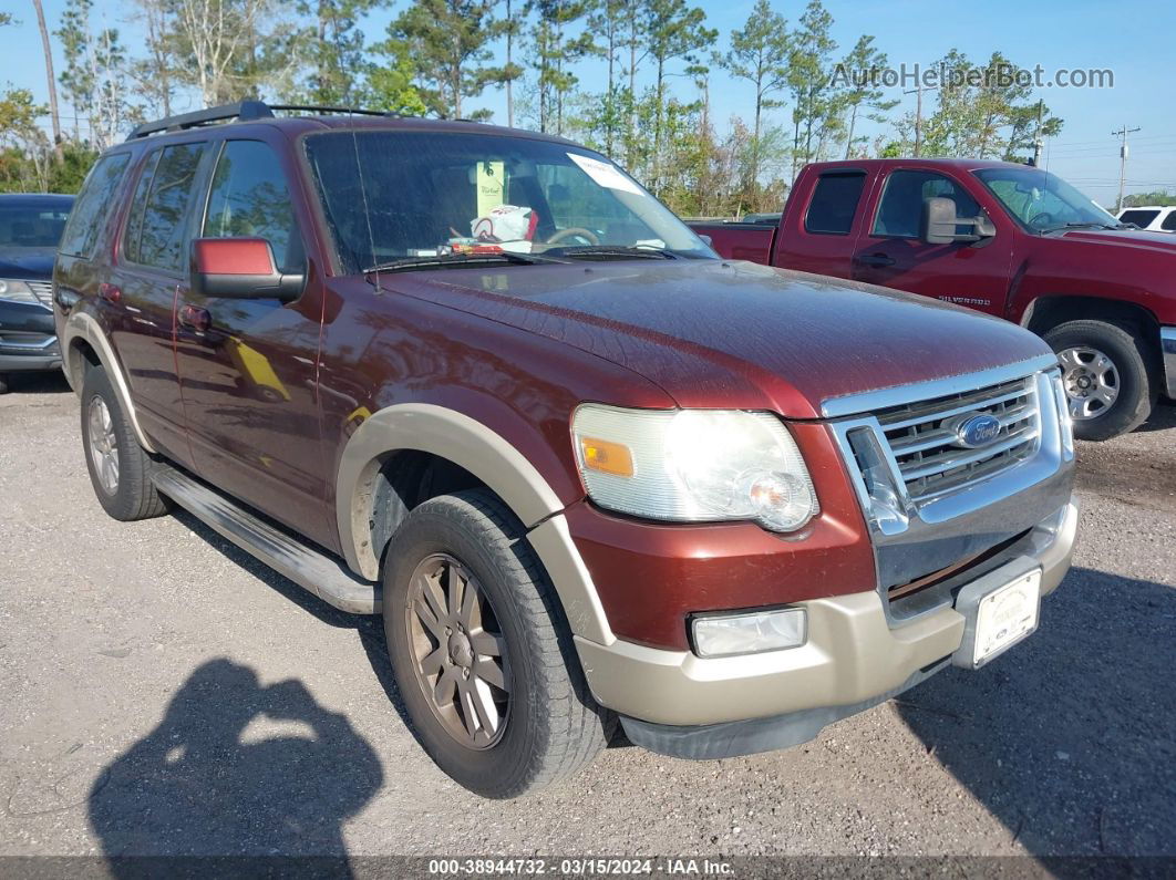 2010 Ford Explorer Eddie Bauer Dark Brown vin: 1FMEU6EE8AUA87265