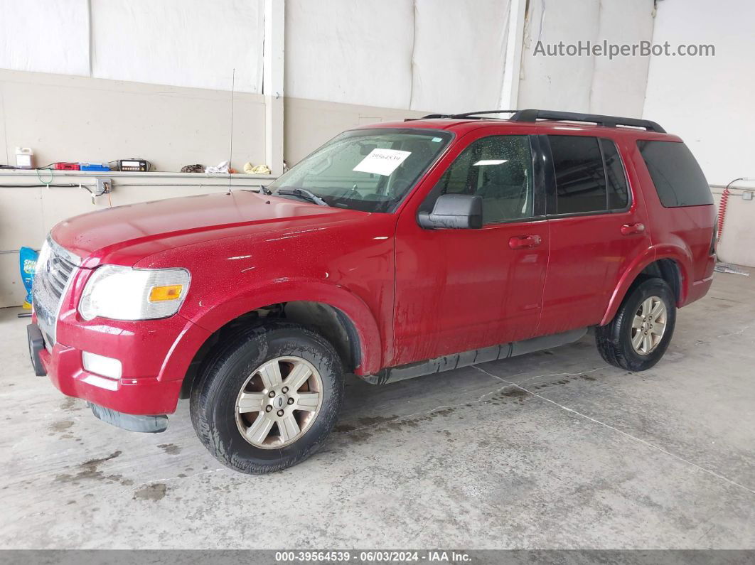 2010 Ford Explorer Xlt Красный vin: 1FMEU7DE9AUA77819