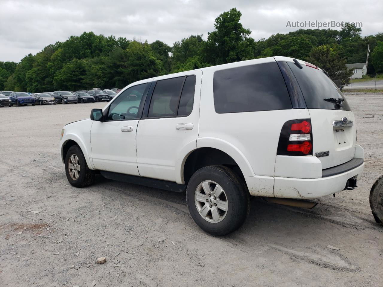 2010 Ford Explorer Xlt White vin: 1FMEU7DE9AUA84530