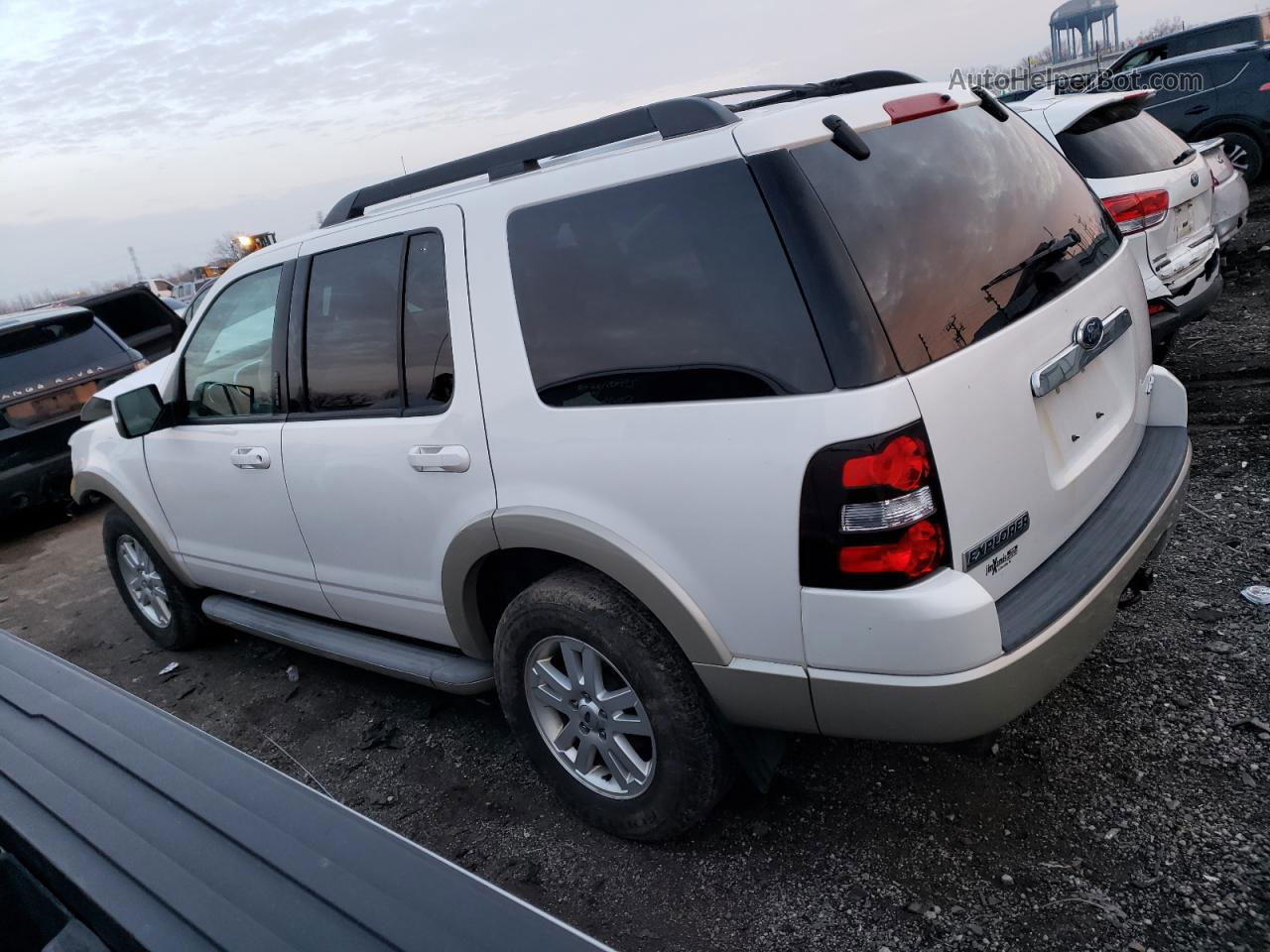 2010 Ford Explorer Eddie Bauer White vin: 1FMEU7EEXAUA48702